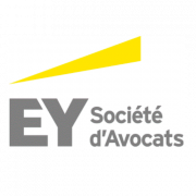 Avocat expérimenté en Droit Public des Affaires - Lyon - F/H