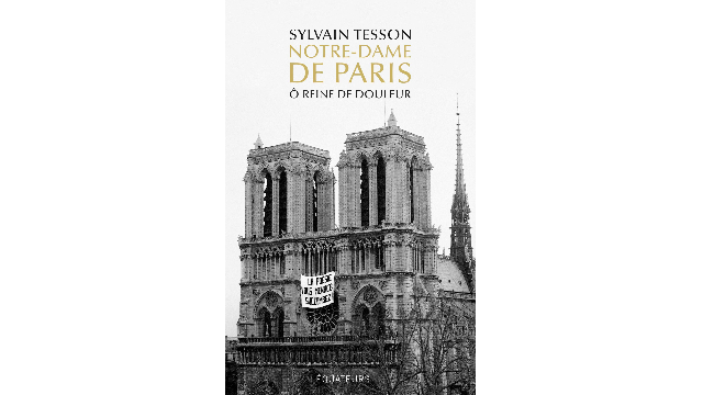 Notre-Dame De Paris Ô Reine De Douleur, De Sylvain Tesson | NEOMA ...